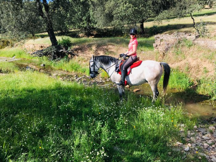 Conquistadores Trail Ride