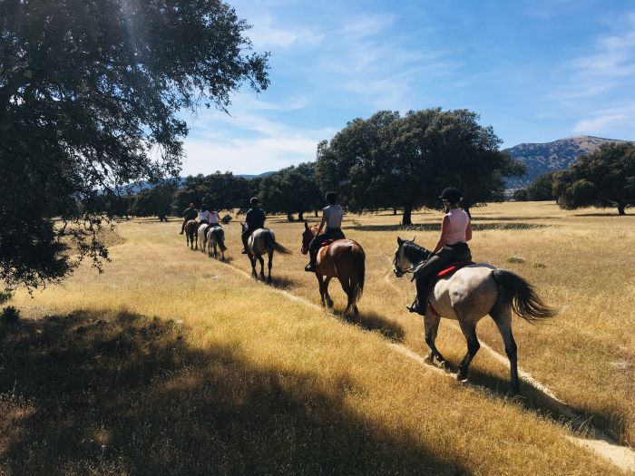 Conquistadores Trail Ride