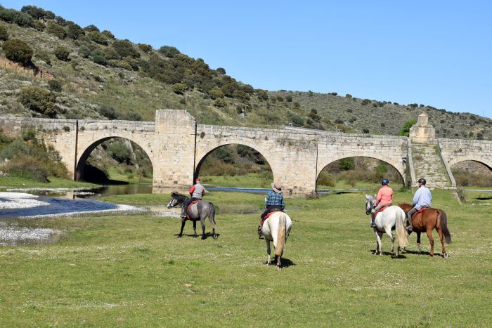 Conquistadores Trail Ride