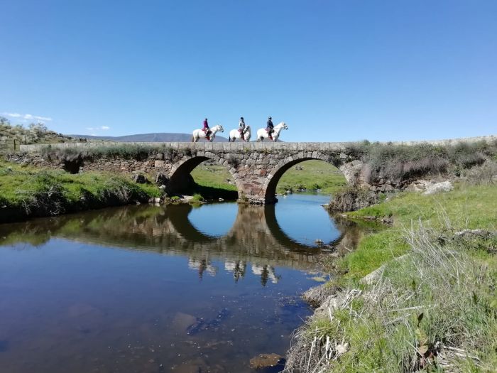 Conquistadores Trail Ride