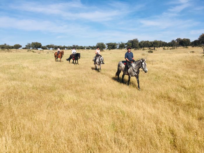 Conquistadores Trail Ride