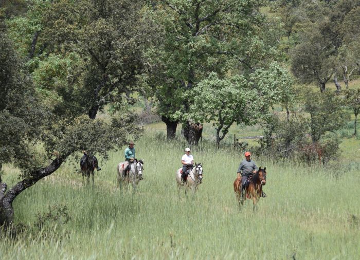 Conquistadores Trail Ride