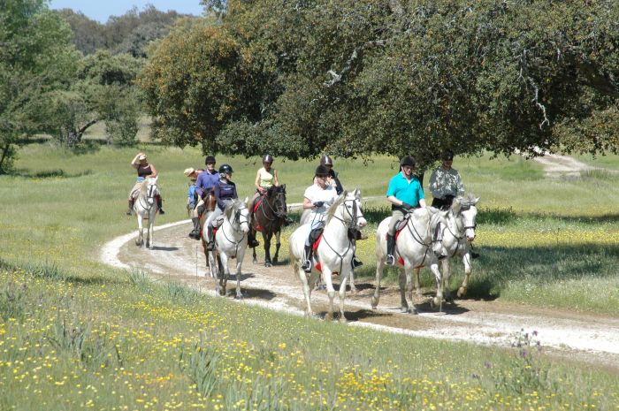 Conquistadores Trail Ride