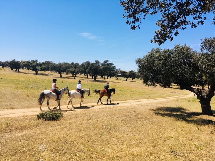 Conquistadores Trail Ride