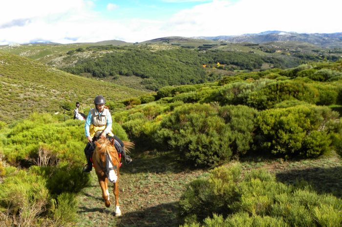Conquistadores Trail Ride