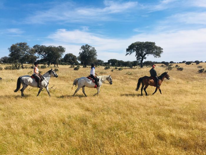 Conquistadores Trail Ride
