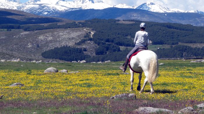 Gredos Trail riding