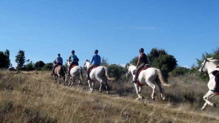 Gredos Trail riding