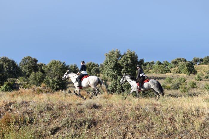 Gredos Trail riding
