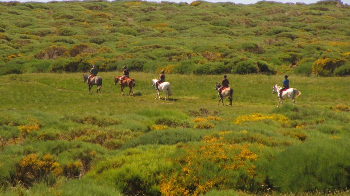 Gredos Trail riding