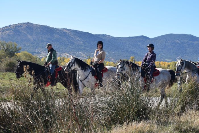 Gredos Trail riding