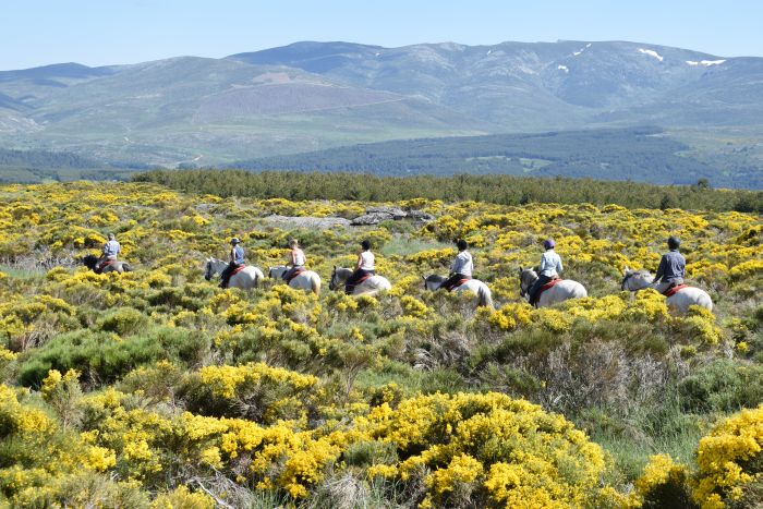 Gredos Trail riding