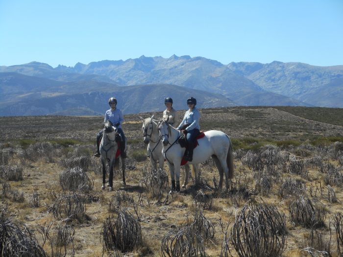 Gredos Trail riding