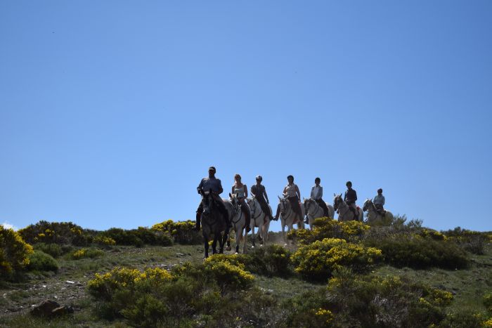 Gredos Trail riding