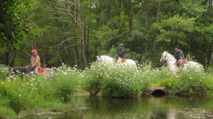 Gredos Trail riding