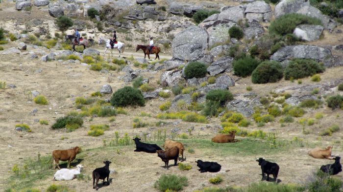 Gredos Trail riding