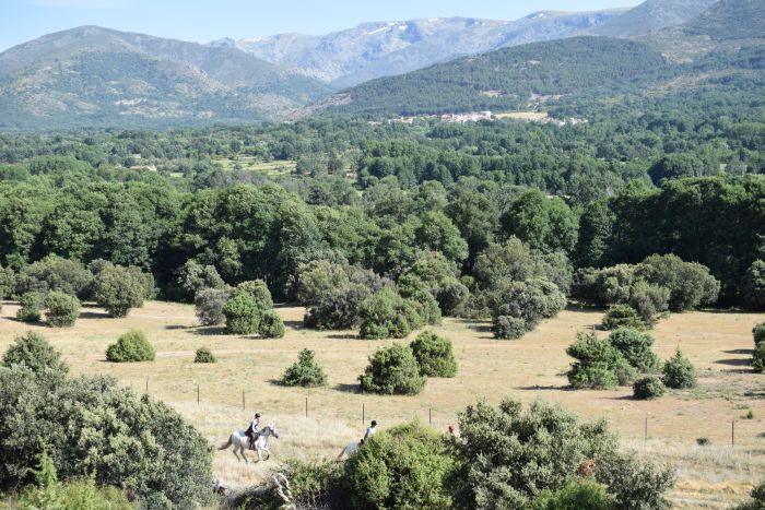 Gredos Trail riding