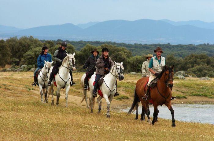 Guadalupe Pilgrimage ride