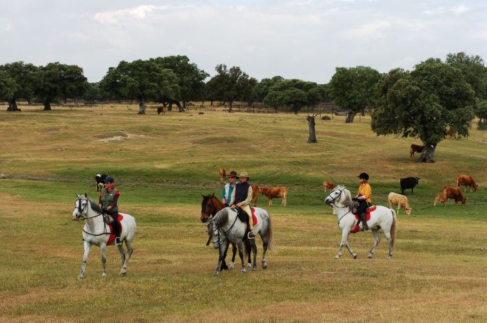 Guadalupe Pilgrimage ride