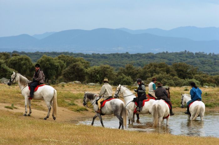 Guadalupe Pilgrimage ride