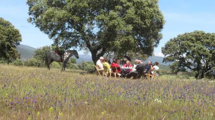 Guadalupe Pilgrimage ride