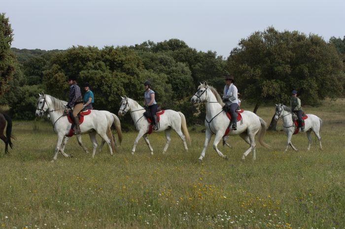 Guadalupe Pilgrimage ride
