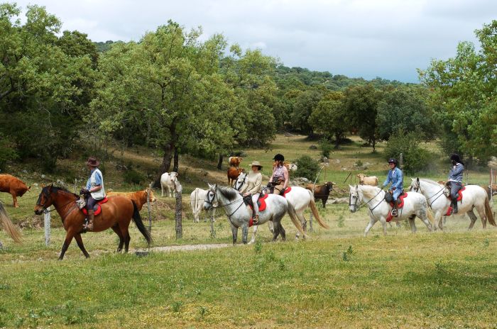 Guadalupe Pilgrimage ride