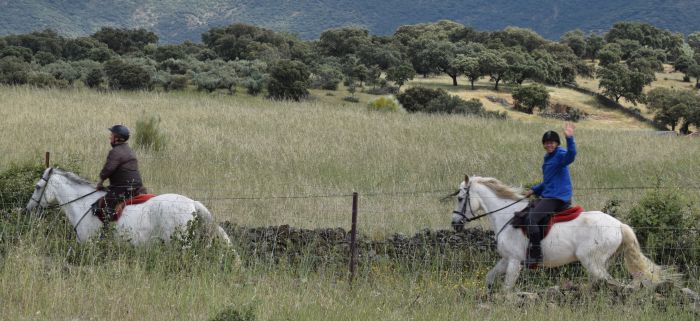 Guadalupe Pilgrimage ride
