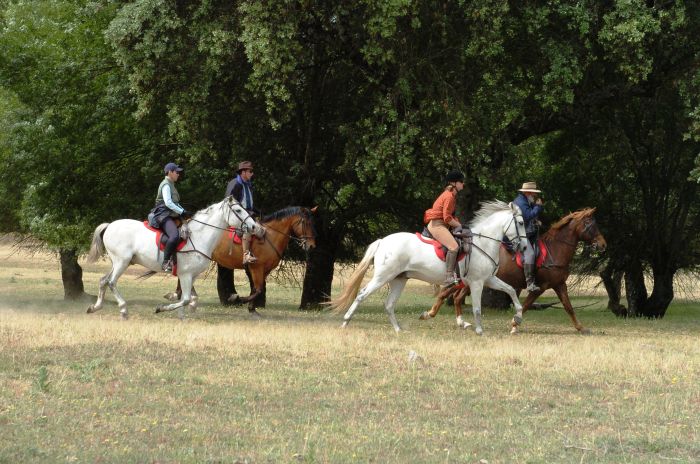 Guadalupe Pilgrimage ride