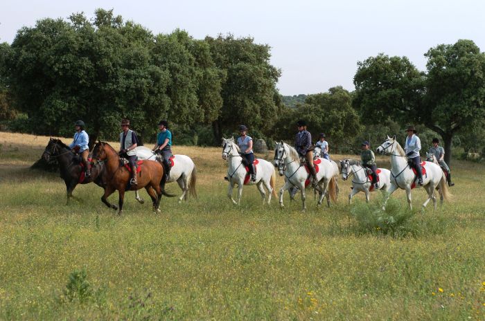 Guadalupe Pilgrimage ride