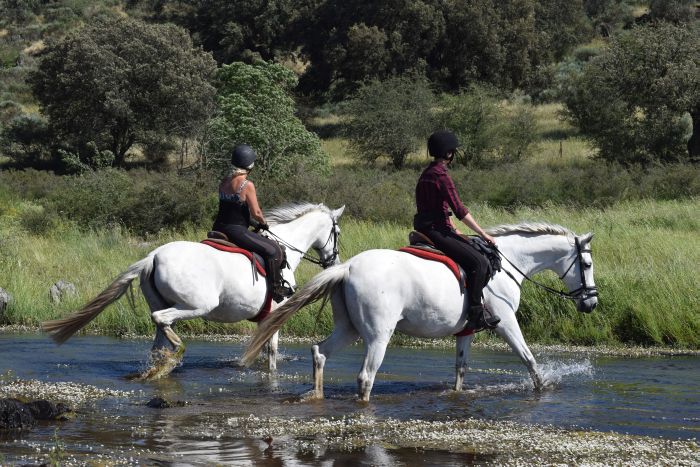 Guadalupe Pilgrimage ride