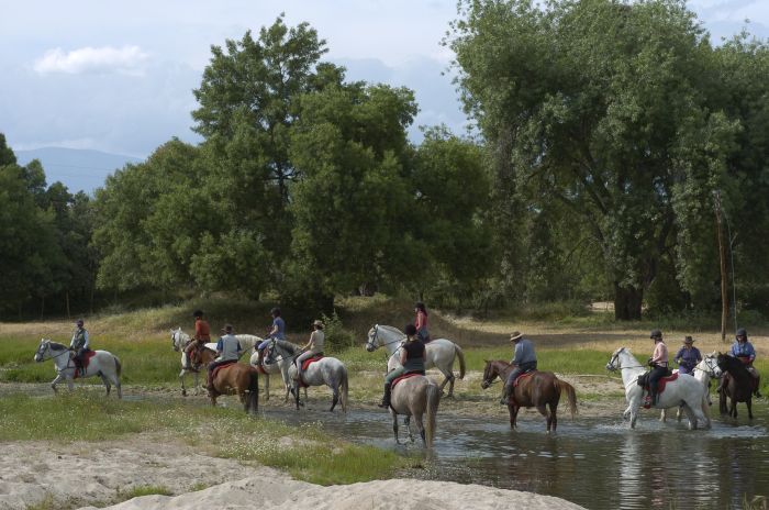 Guadalupe Pilgrimage ride