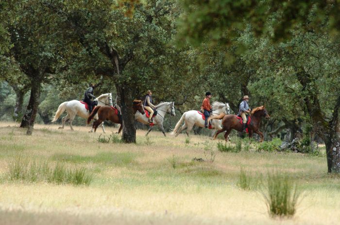 Guadalupe Pilgrimage ride