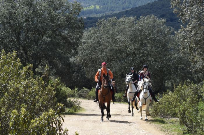 Guadalupe Pilgrimage ride