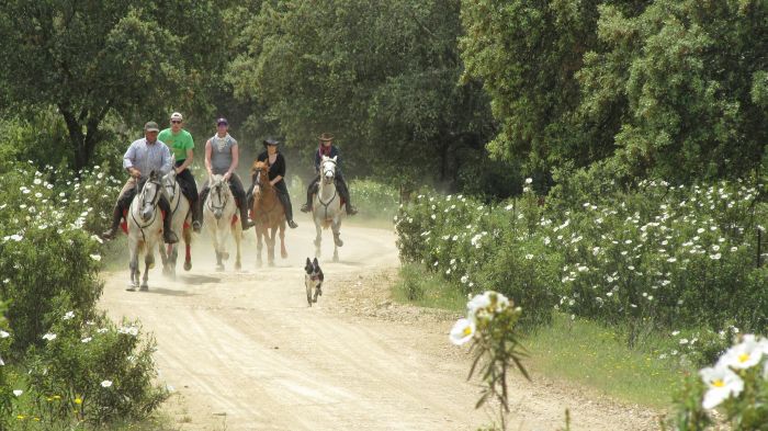 Monfragüe National Park Ride