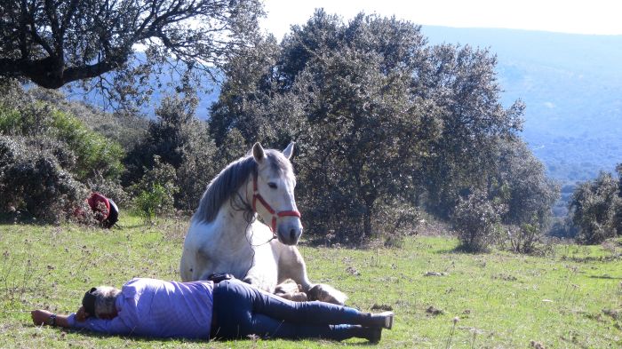 Extremadura Shepherd Trail