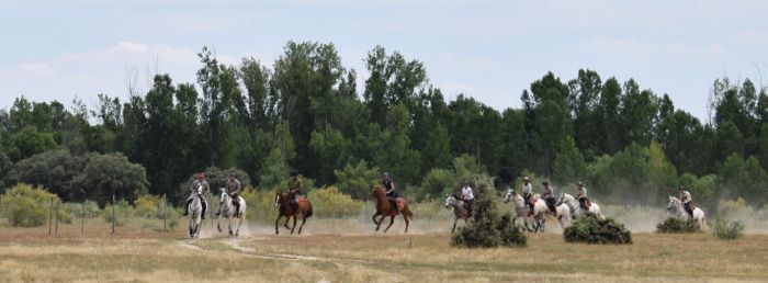 Extremadura Shepherd Trail