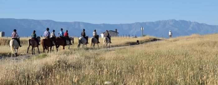 Extremadura Shepherd Trail
