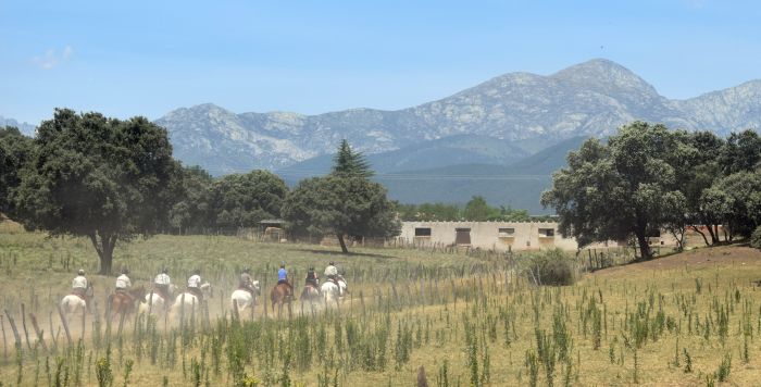 Extremadura Shepherd Trail