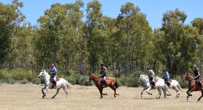 Extremadura Shepherd Trail