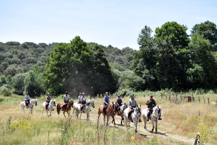 Extremadura Shepherd Trail
