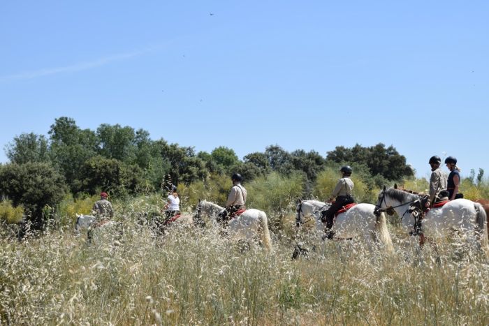 Extremadura Shepherd Trail