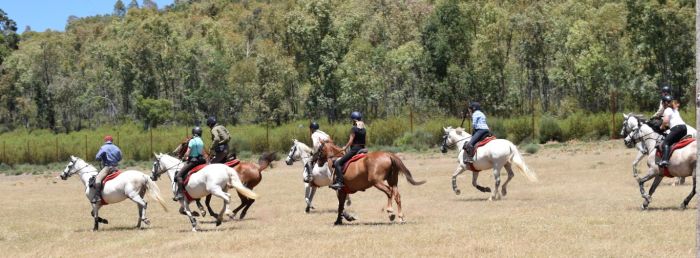 Extremadura Shepherd Trail