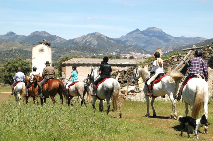 Extremadura Shepherd Trail