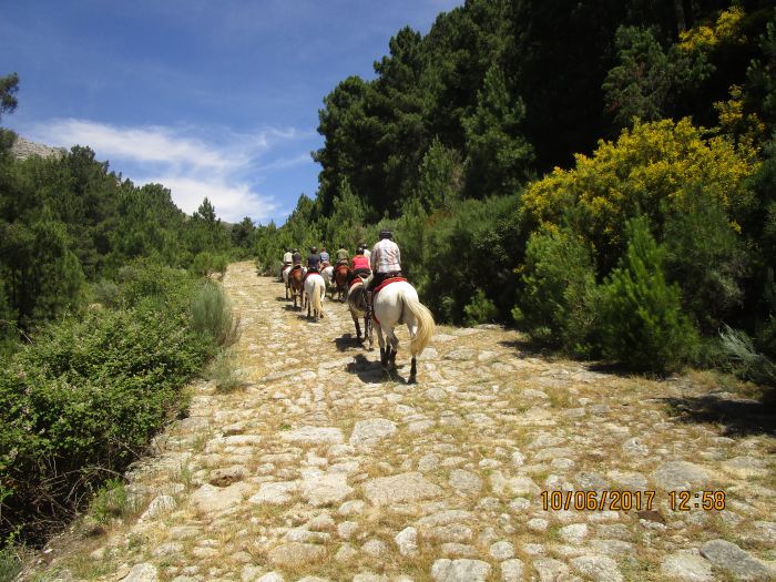 Extremadura Shepherd Trail