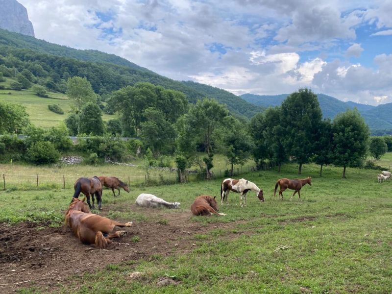 Cider Trail through Asturias