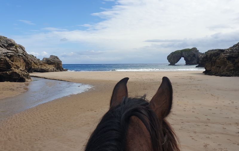 Cider Trail through Asturias