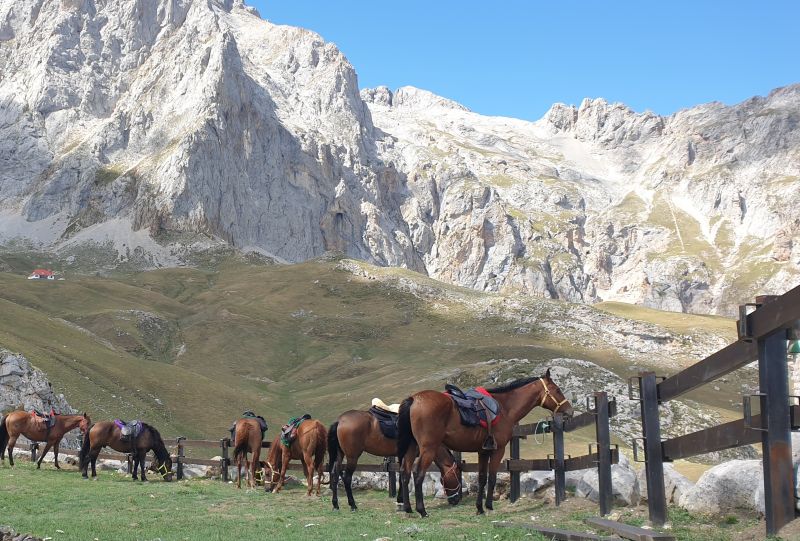 Cider Trail through Asturias