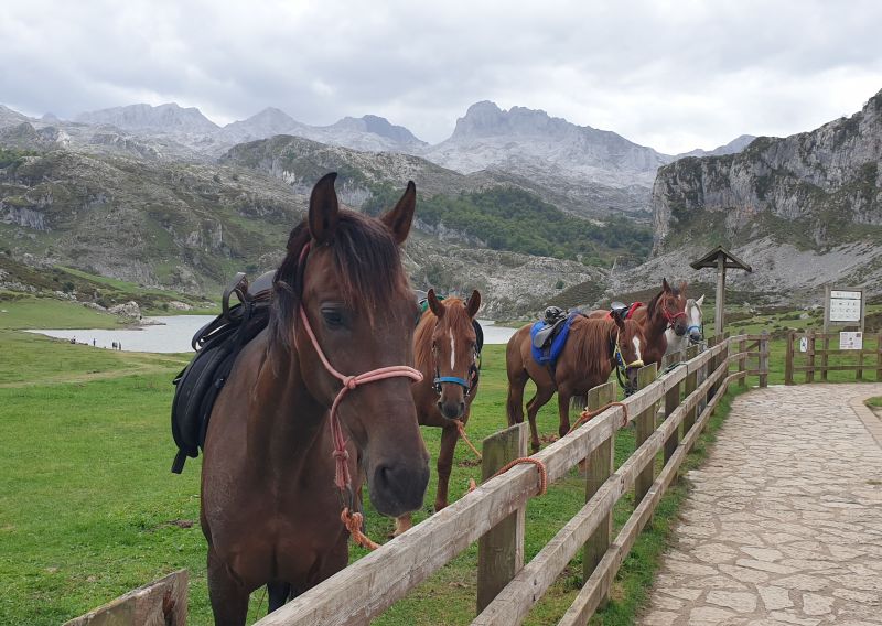 Cider Trail through Asturias