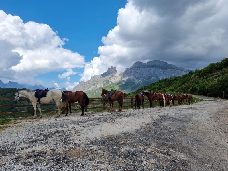 Cider Trail through Asturias